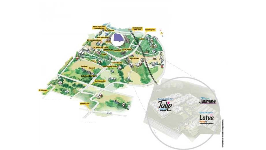 Location of Kanopy Jasmine - Image 388394