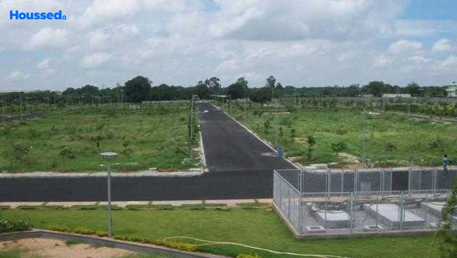 Project Image of Kanopy Jasmine - Image 388391