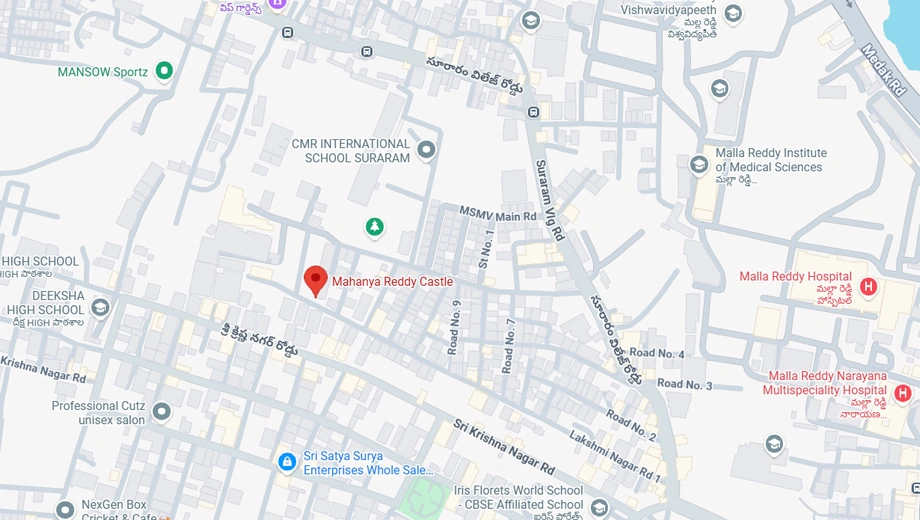 Location of PMR Mahanya Reddy Castle - Image 388617
