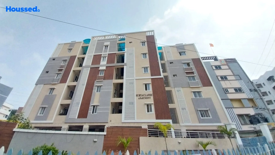 Project Image of Surya Classic - Image 389417