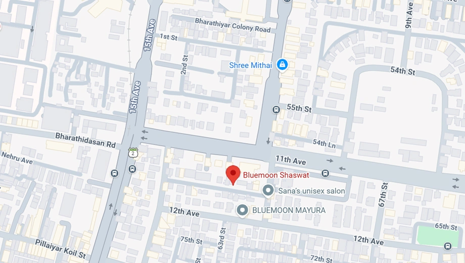Location of Bluemoon Shaswat in Ashok Nagar, Chennai - Image 391067
