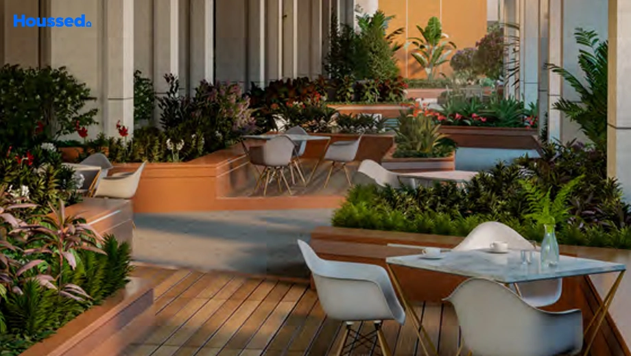 Amenities of Bonsai Fern - Image 391760
