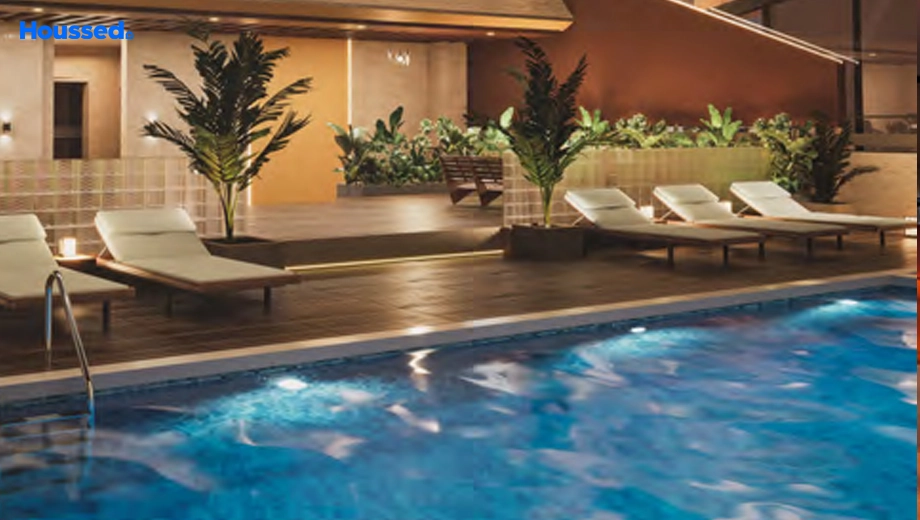 Amenities of Bonsai Fern - Image 391761