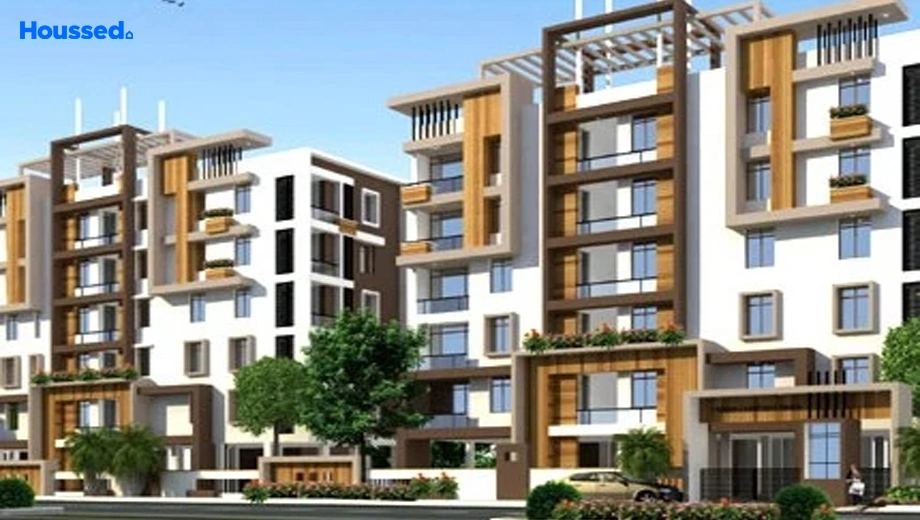 Project Image of Crown Signature - Image 391808