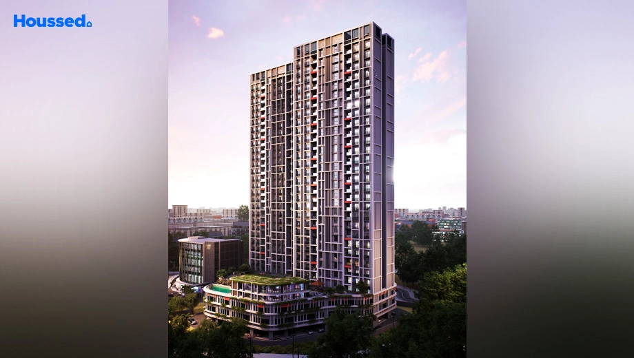 Project Image of Shelar Supremus - Image 392053