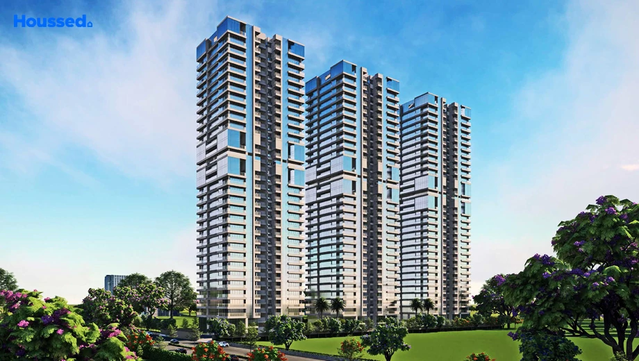 Project Image of Aristo Amaya - Image 395706