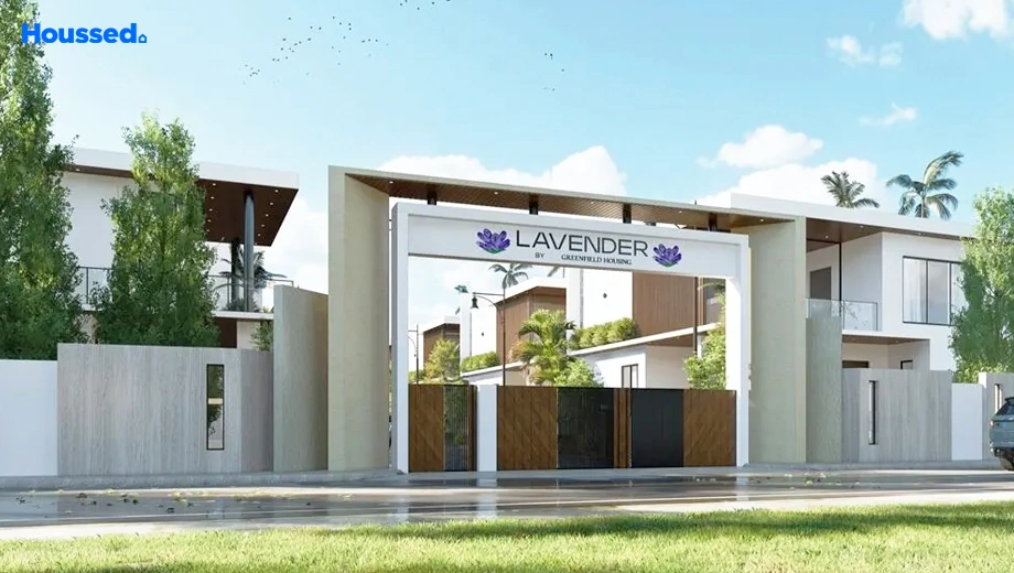 Project Image of Greenfield Lavender - Image 395277