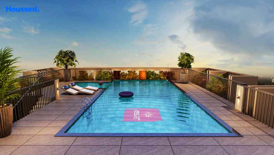 Amenities of Asset Palette - Image 396543