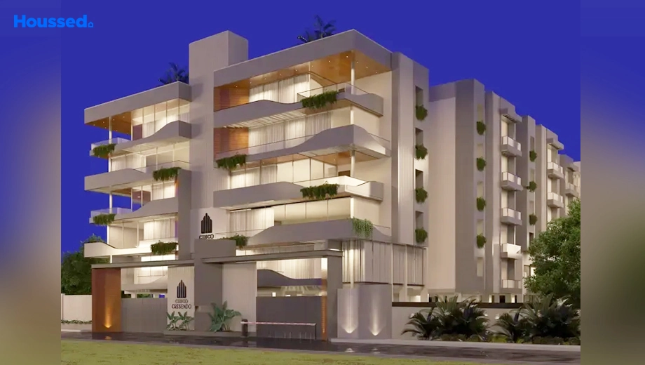 Project Image of Cinco Cresendo - Image 395977