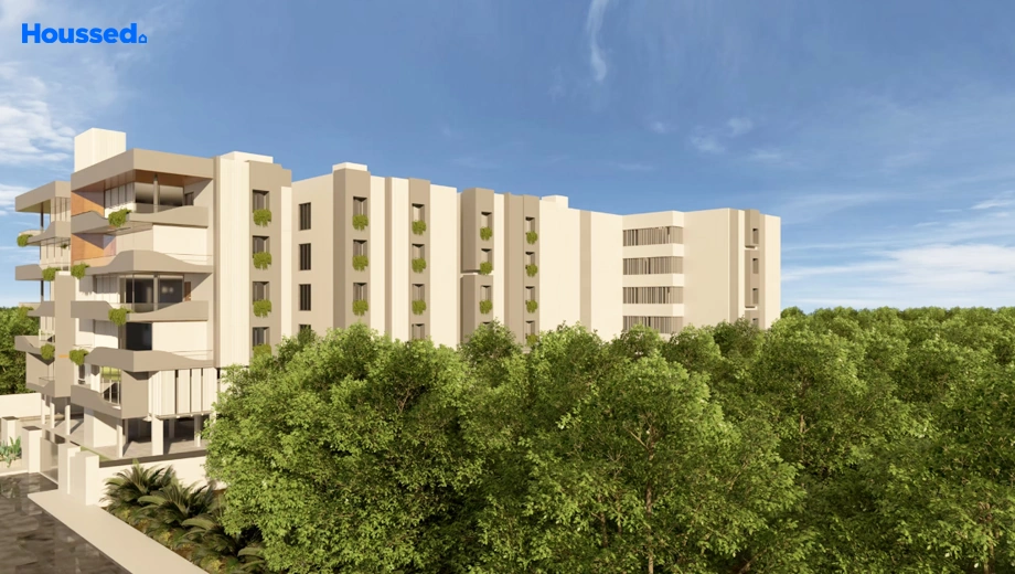 Project Image of Cinco Cresendo - Image 395976