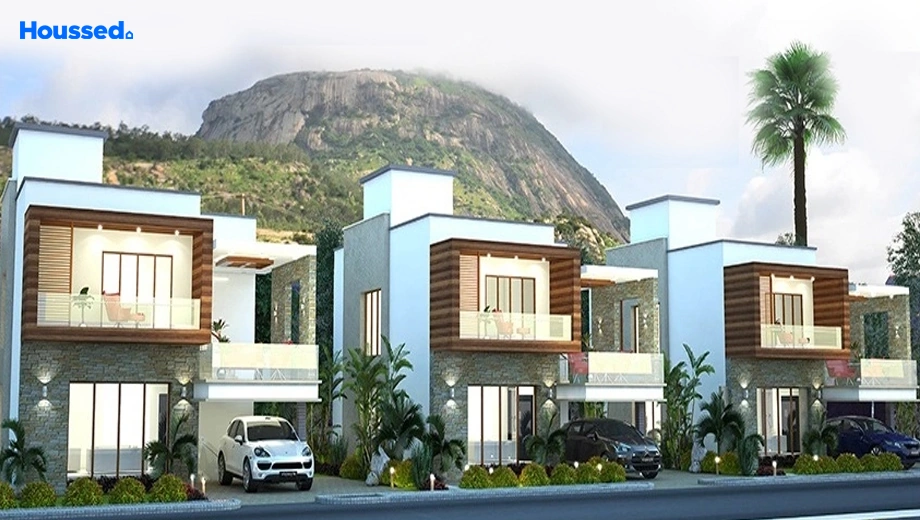 Project Image of MSK Paradise - Image 396630