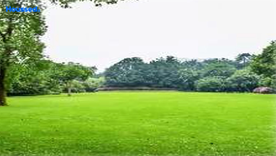 Project Image of Jai Mahadevs Golden Residency - Image 408117