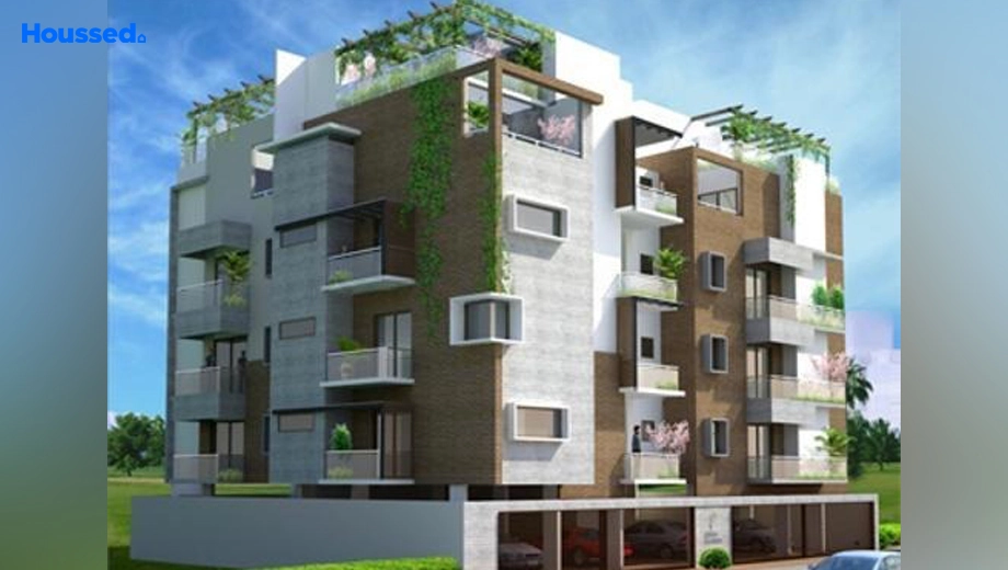 Project Image of Platinum Picassa - Image 399582