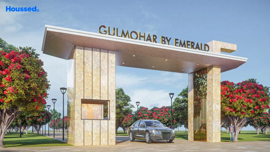 Project Image of Emerald Gulmohar - Image 399638