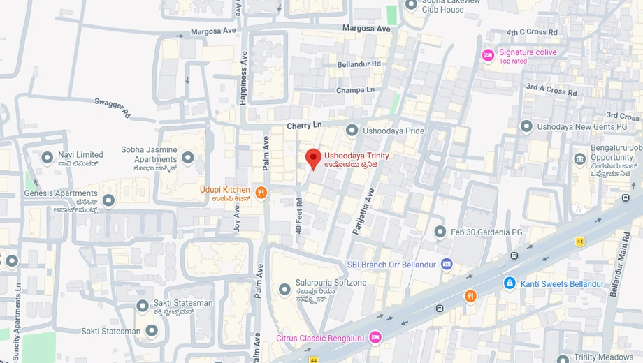 Location of PNR Ushodaya Trinity in Bellandur, Bangalore - Image 400453