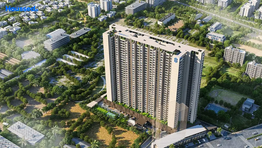 Project Image of Saheel Luxton - Image 402098