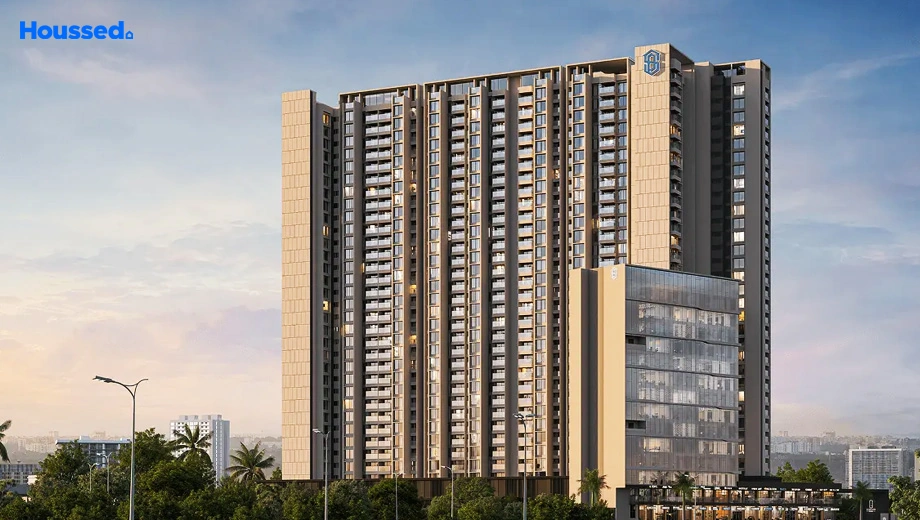Project Image of Saheel Luxton - Image 402099