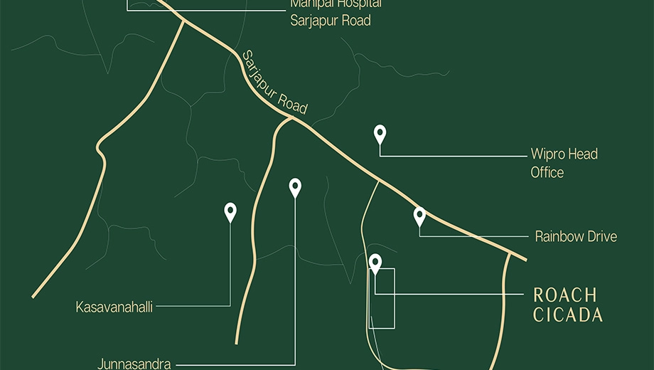 Location of Roach Cicada - Image 401343