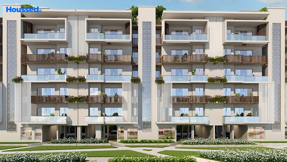 Project Image of Navraj The Analia - Image 402585