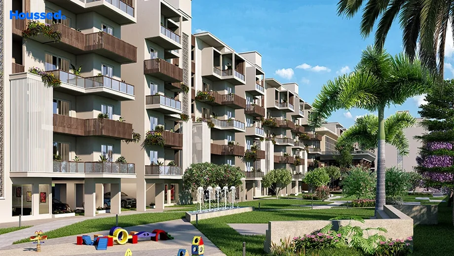 Project Image of Navraj The Analia - Image 402584