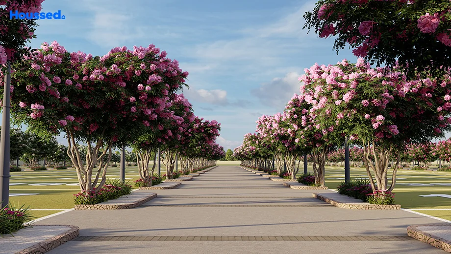 Project Image of Vencer Rak Felicity in Devanahalli, Bangalore - Image 402765