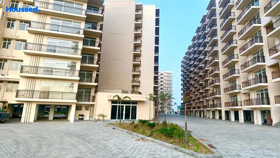 Project Image of AVL 36 Gurgaon - Image 403382