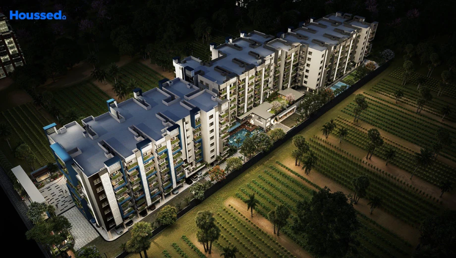 Project Image of Signifa Simhadri - Image 403607