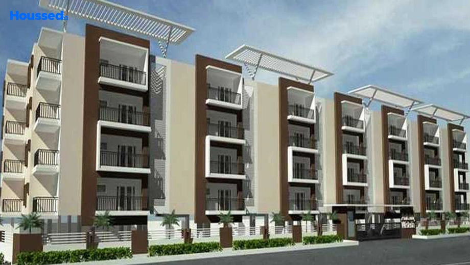 Project Image of Ankshu Wisteria - Image 403745