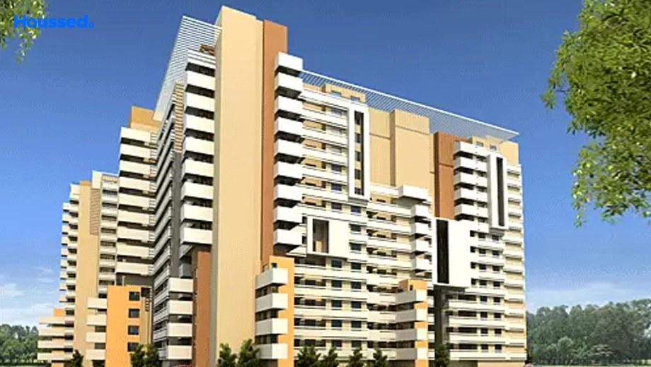 Project Image of Duo Symphony - Image 404276