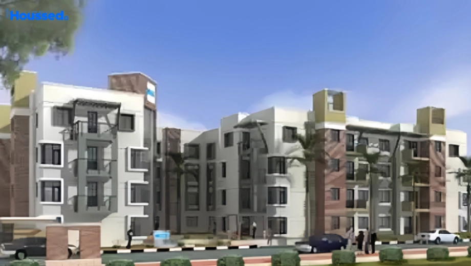 Project Image of Skyline Magnolia - Image 404625