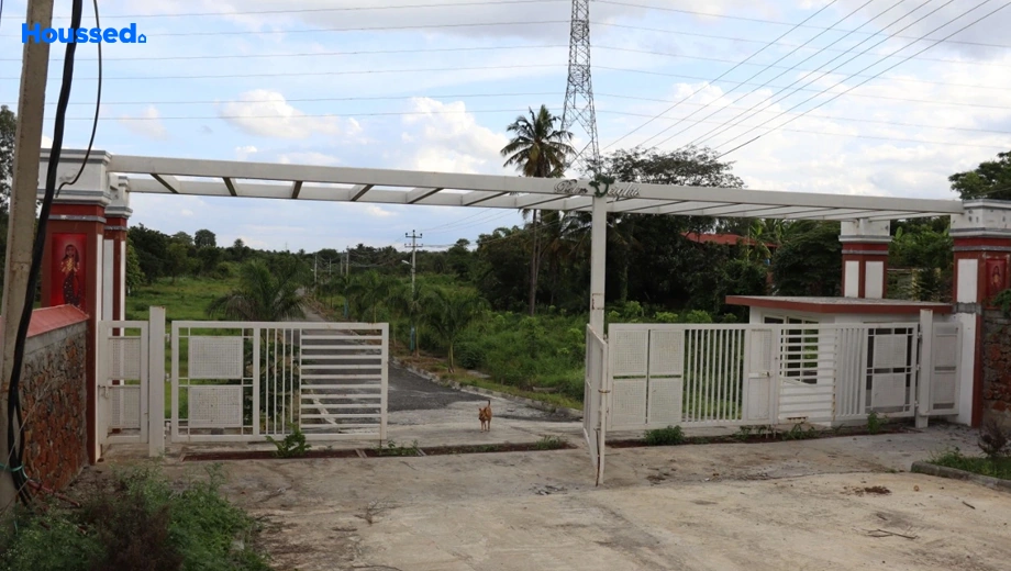 Project Image of Land Trans Palm Heights - Image 406100