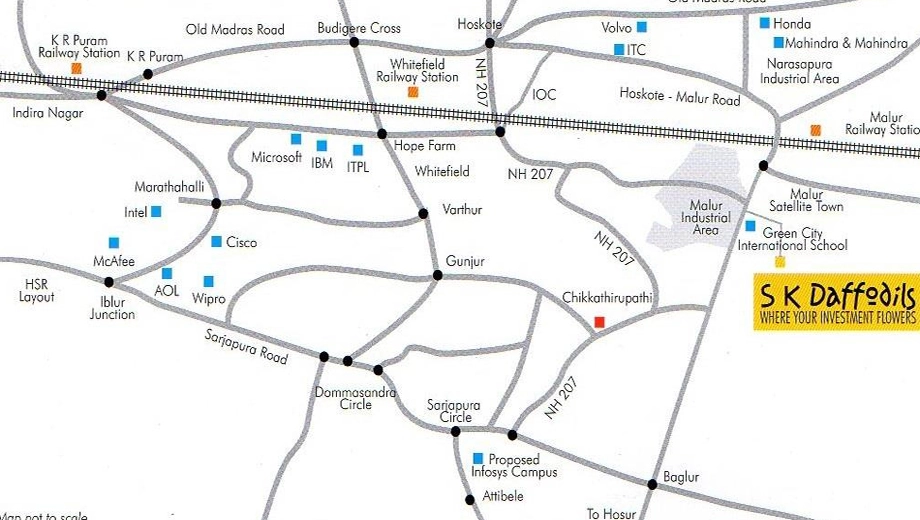 Location of S K Daffodils - Image 406091
