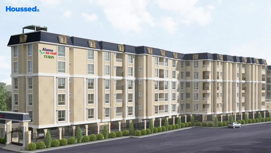 Project Image of Alamo XS Real Turin - Image 406875