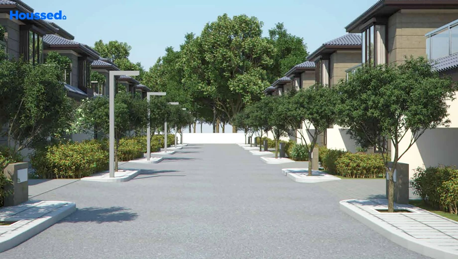Project Image of Sanbrix Kingsberry - Image 406927