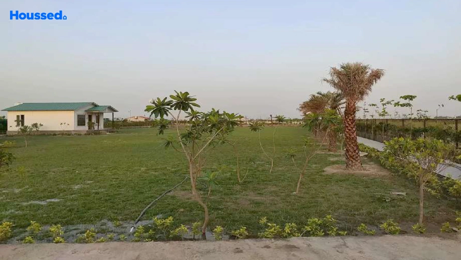 Project Image of Escon Plots - Image 409501