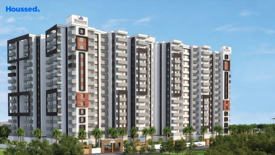 Project Image of MJ Lifestyle Amadeus - Image 409723