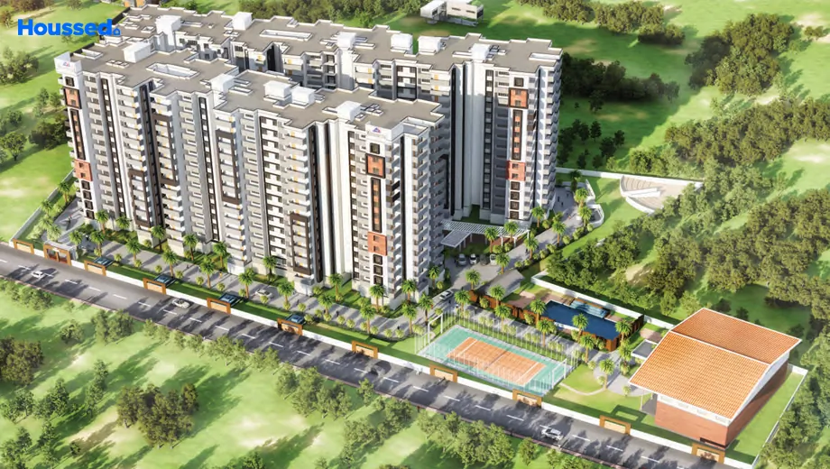 Project Image of MJ Lifestyle Amadeus - Image 409725