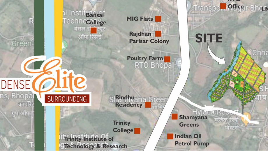 Location of Rakhi Shankaracharya Golden Palm - Image 410378