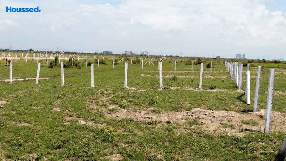 Project Image of DSKV Nature Breeze Farms - Image 409994