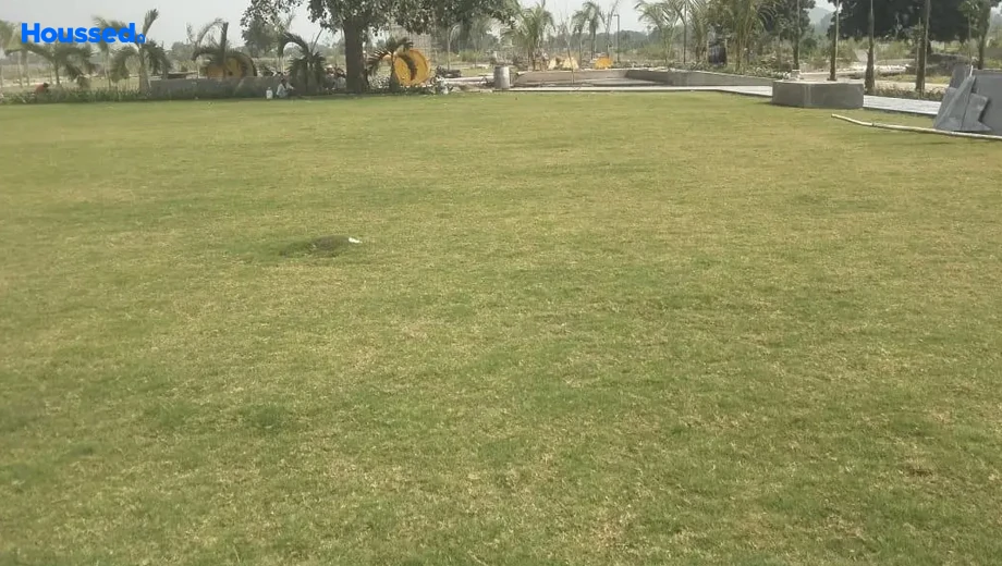 Project Image of Haldenia Goyal Hills - Image 411359
