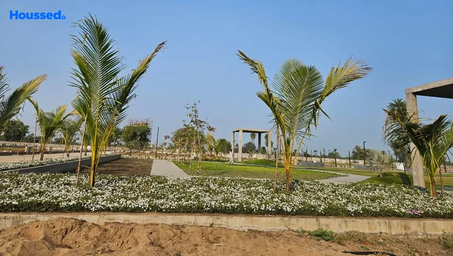 Project Image of Haldenia Goyal Hills - Image 411356