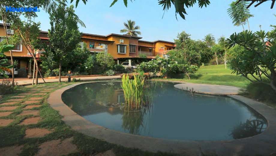 Amenities of Good Earth Ochre - Image 412343