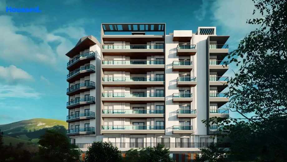 Project Image of Innovative Reets Hill Queen - Image 417847