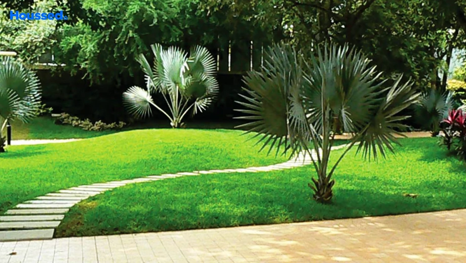 Amenities of Vijaylaxmi Platinum in Chaukhan, Jodhpur - Image 421149