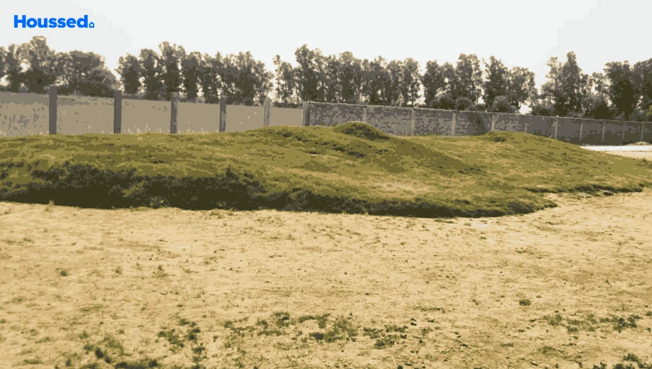 Project Image of Orange Flower Valley in Panchkula, Chandigarh - Image 423421