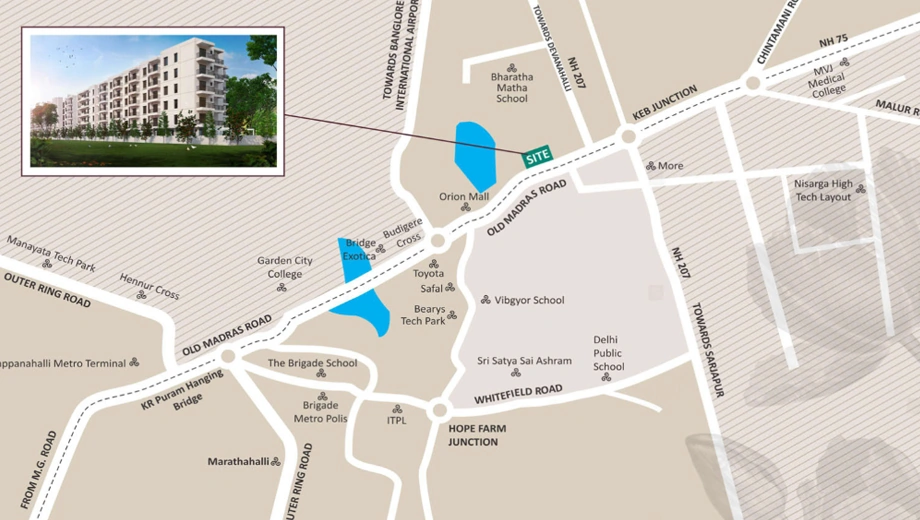 Location of JP Tulips - Image 424407