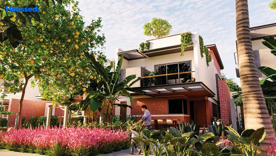 Project Image of Organo Palgutta in Chevella, Hyderabad - Image 424655