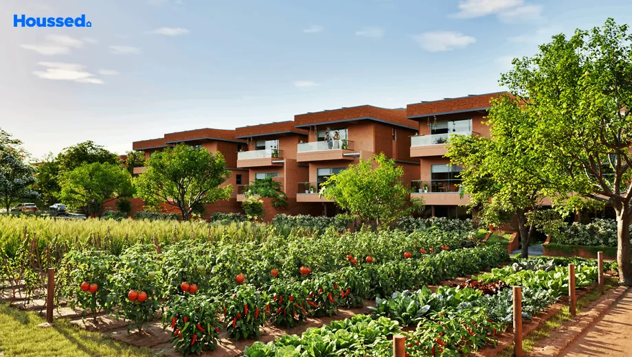Project Image of Organo Palgutta in Chevella, Hyderabad - Image 424653