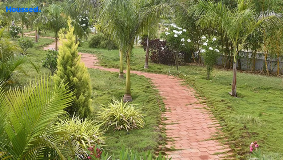 Project Image of Land Gravity One Pragathi Dreams in Hootagalli, Mysore - Image 425228