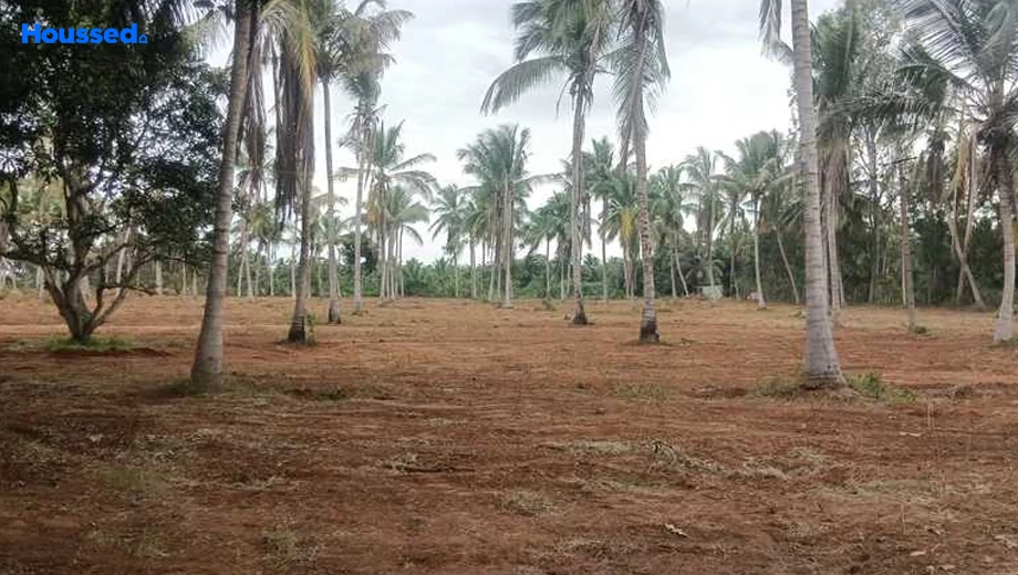 Project Image of Foundations Sri Vilasa in Varuna, Mysore - Image 426607